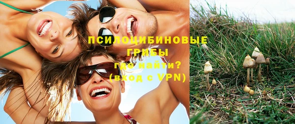 MESCALINE Новозыбков