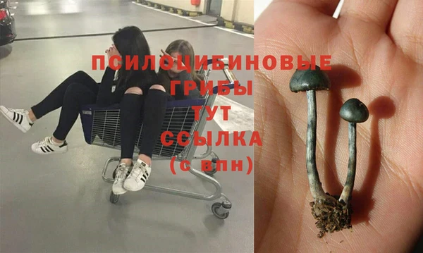MESCALINE Новозыбков