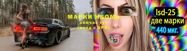 прущие грибы Верея